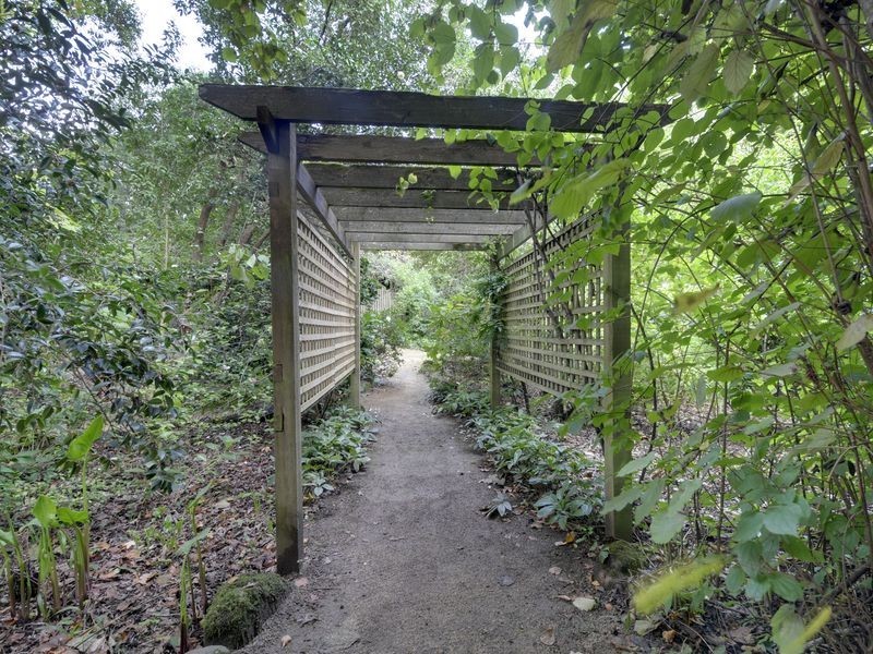 1409 Tarra Valley Road, Tarra Valley VIC 3971