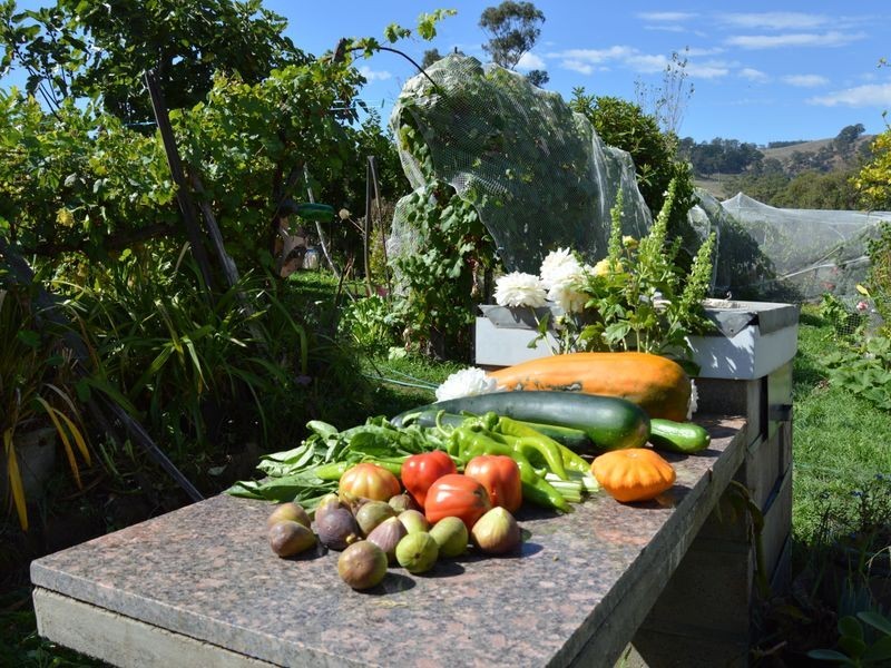 714 Coalville Road, Aberfeldy VIC 3825