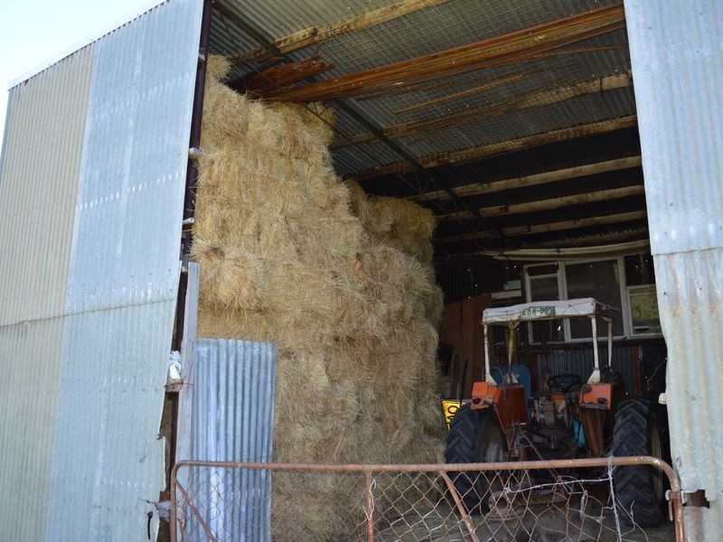 714 Coalville Road, Aberfeldy VIC 3825