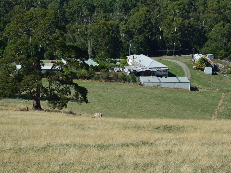 714 Coalville Road, Aberfeldy VIC 3825