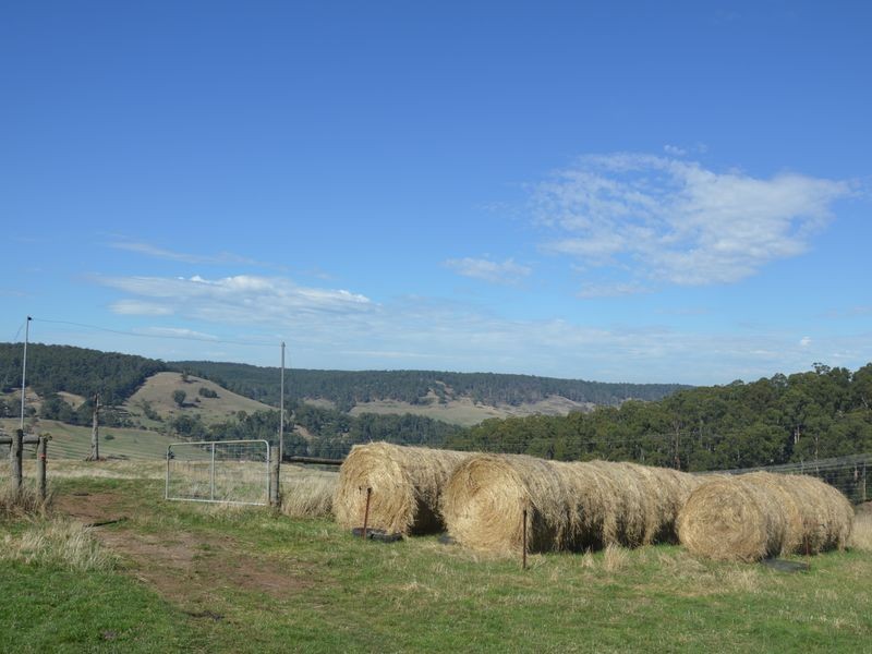714 Coalville Road, Aberfeldy VIC 3825