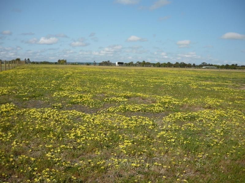 120B Willung Road, Rosedale VIC 3847