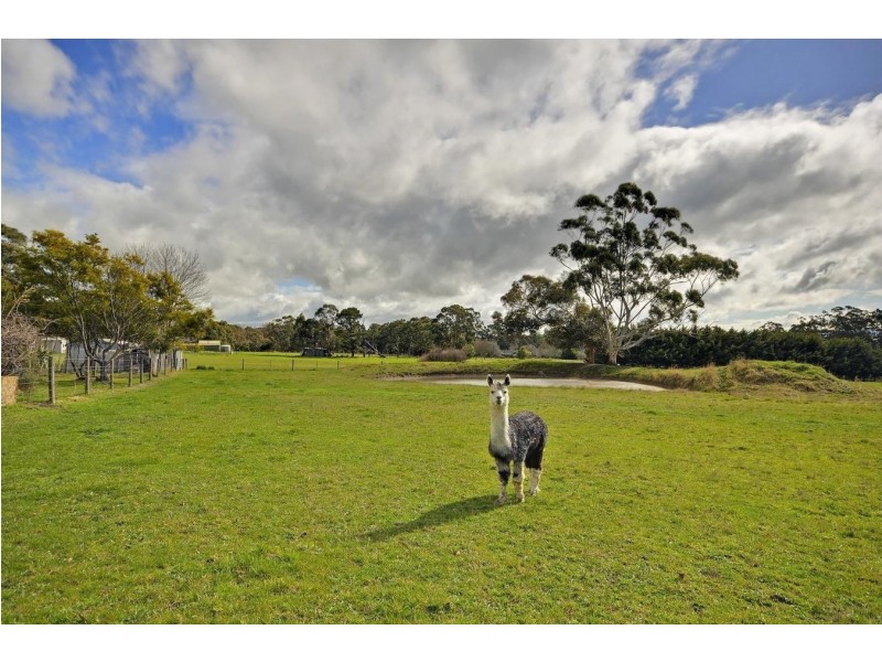 40 Wilkan Drive, Hazelwood North VIC 3840