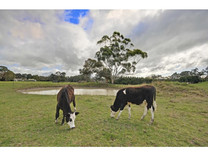 40 Wilkan Drive, Hazelwood North VIC 3840