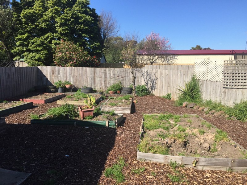 20 Gillies Crescent, Traralgon VIC 3844