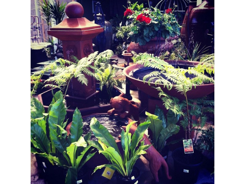 81 Prince Street, Rosedale VIC 3847