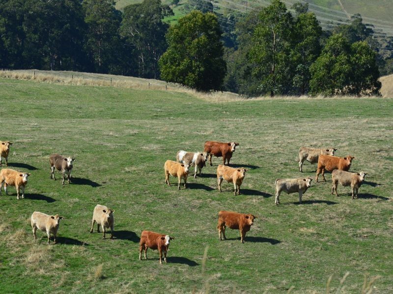 714 Coalville Road, Coalville VIC 3825