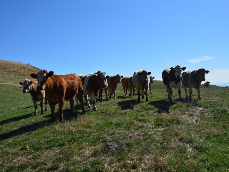 714 Coalville Road, Coalville VIC 3825