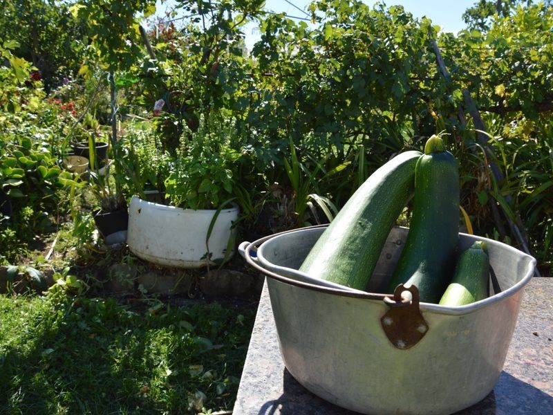 714 Coalville Road, Coalville VIC 3825