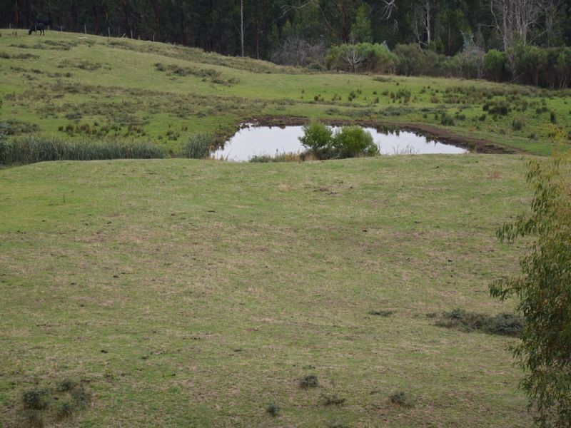 610 Traralgon Balook Road, Callignee VIC 3844