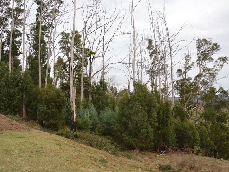 610 Traralgon Balook Road, Callignee VIC 3844