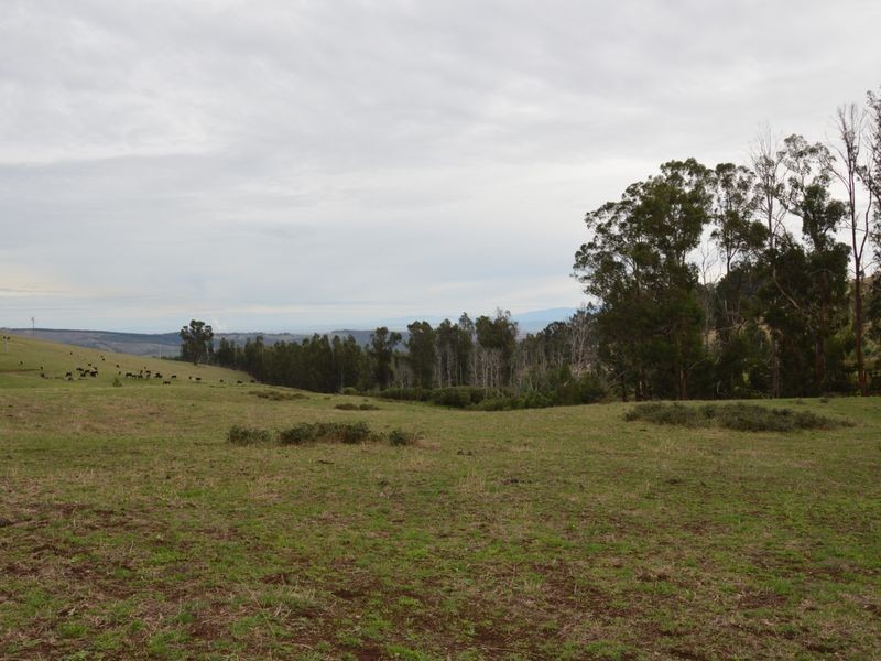 610 Traralgon Balook Road, Callignee VIC 3844