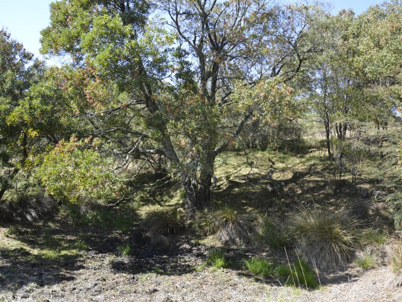 Lot 21 Humphrey Road, Toongabbie VIC 3856