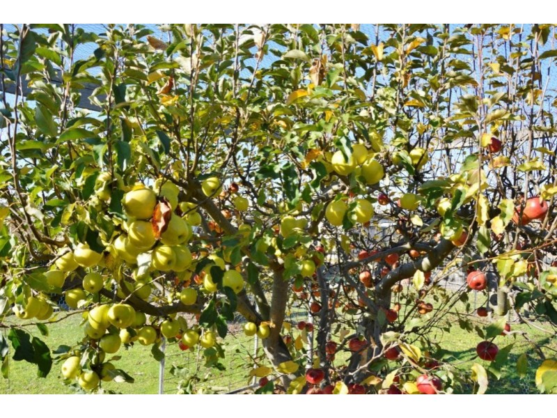 83 Shaws Ln, Rosedale VIC 3847