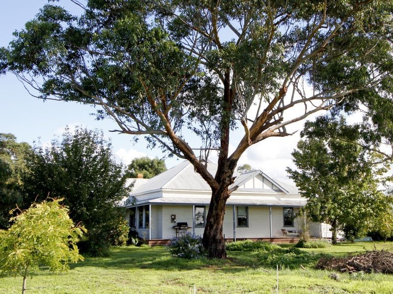 56 Coghlans Lane, Heyfield VIC 3858