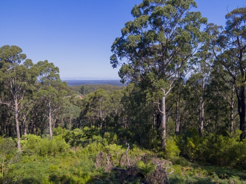1 Happy Go Lucky Road, Walhalla VIC 3825