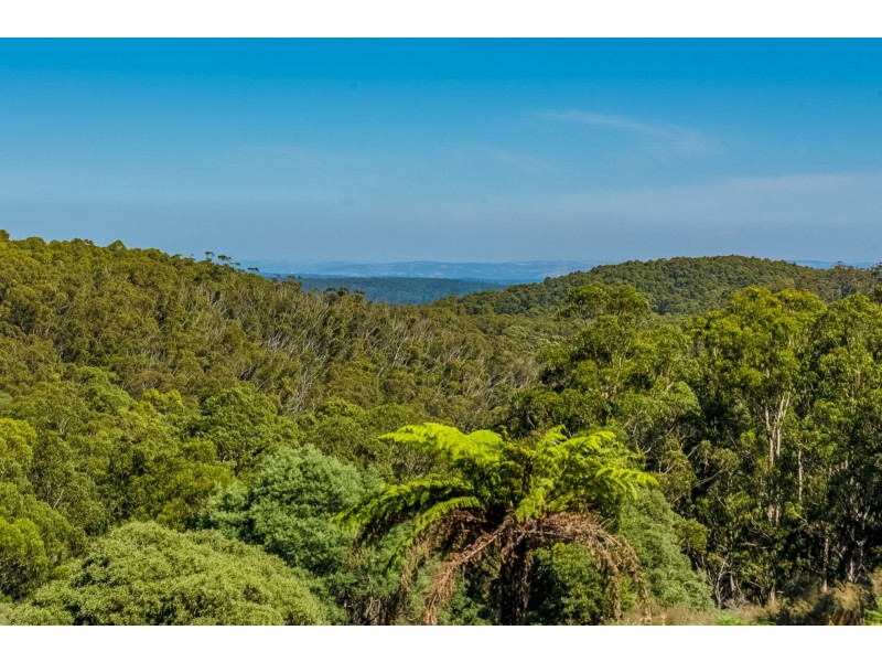 1 Happy Go Lucky Road, Walhalla VIC 3825