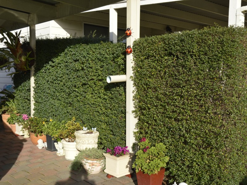 61 Fleet Street, Traralgon VIC 3844