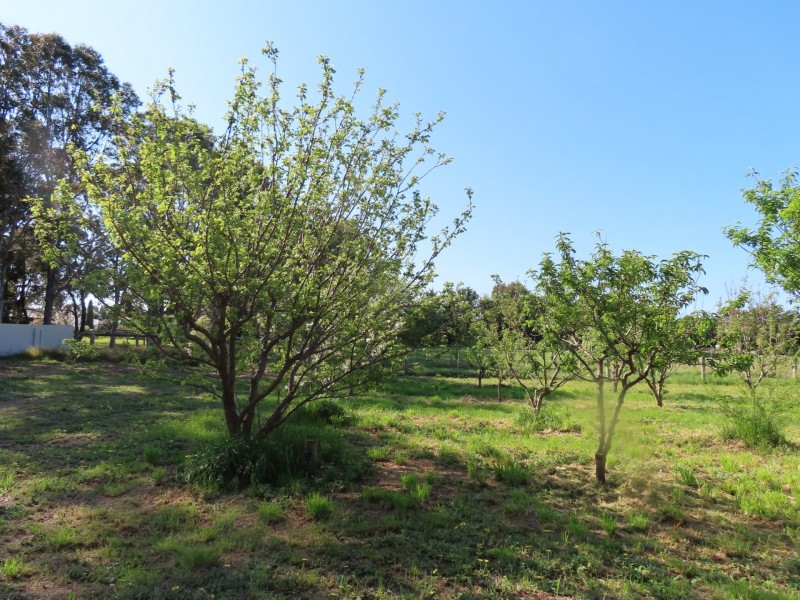 Lot 1/21 Ashton Court, Rosedale VIC 3847