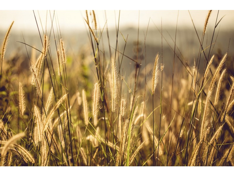 Lot 1/38 Ridge Views Estate, Rosedale VIC 3847