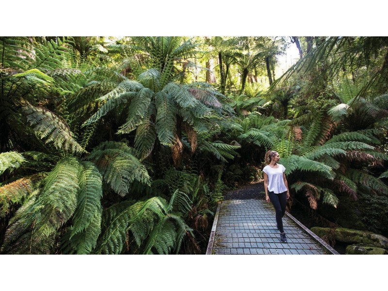 Lot 5/38 Ridge Views Estate, Rosedale VIC 3847