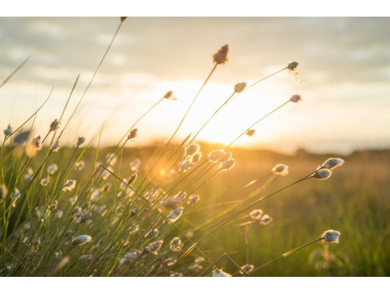 Lot 10/38 Ridge Views Estate, Rosedale VIC 3847