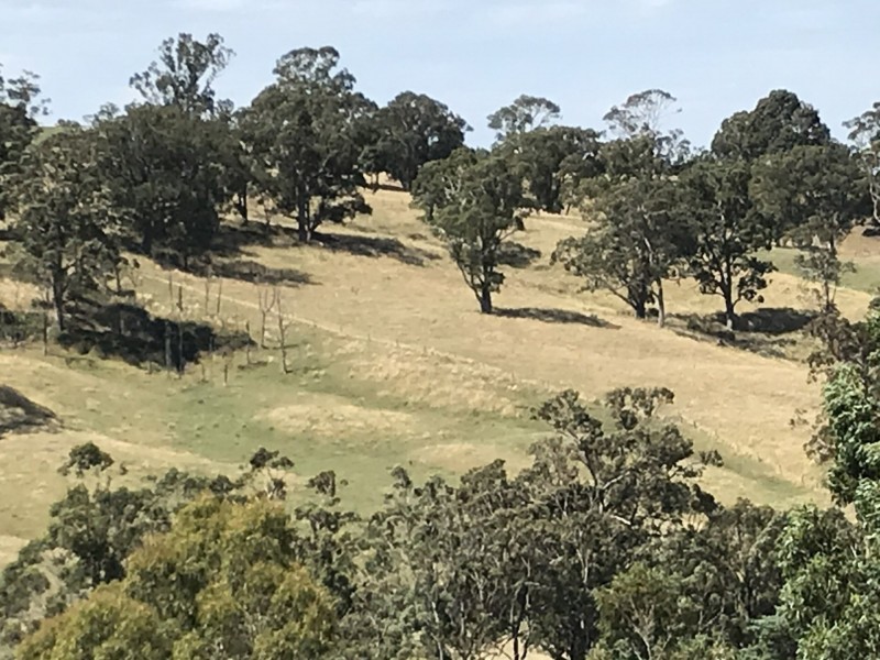 7 Cooloongatta Drive, Tyers VIC 3844