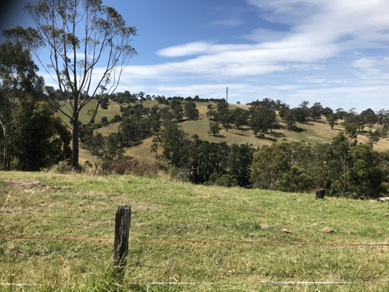 7 Cooloongatta Drive, Tyers VIC 3844