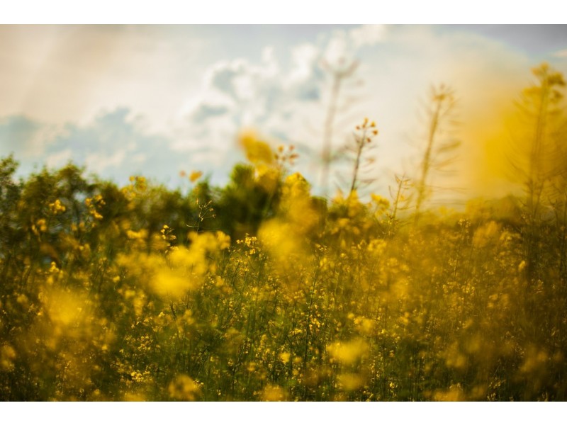 Lot 11/38 Ridge Views Estate, Rosedale VIC 3847