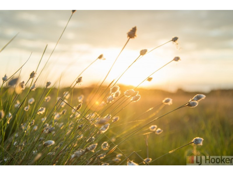 Lot 15/38 Ridge Views Estate, Rosedale VIC 3847