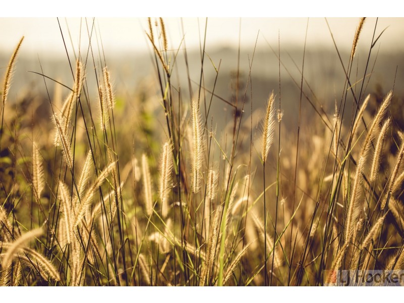 Lot 15/38 Ridge Views Estate, Rosedale VIC 3847