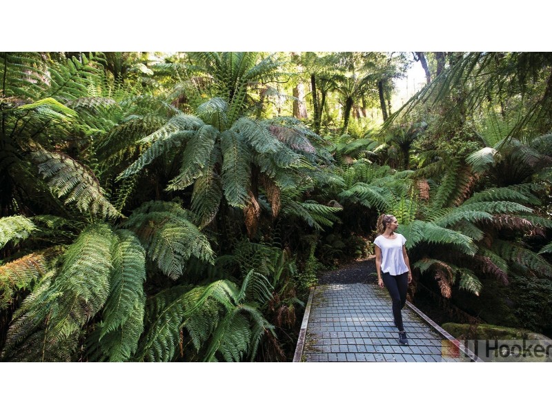 Lot 15/38 Ridge Views Estate, Rosedale VIC 3847