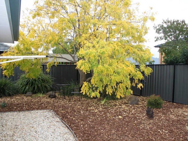 17 Whitlam Green, Point Cook VIC 3030