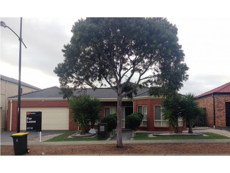 5 Bougainvillea Drive, Point Cook VIC 3030