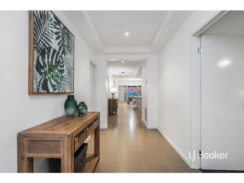 19 Boxgrass Street, Point Cook VIC 3030
