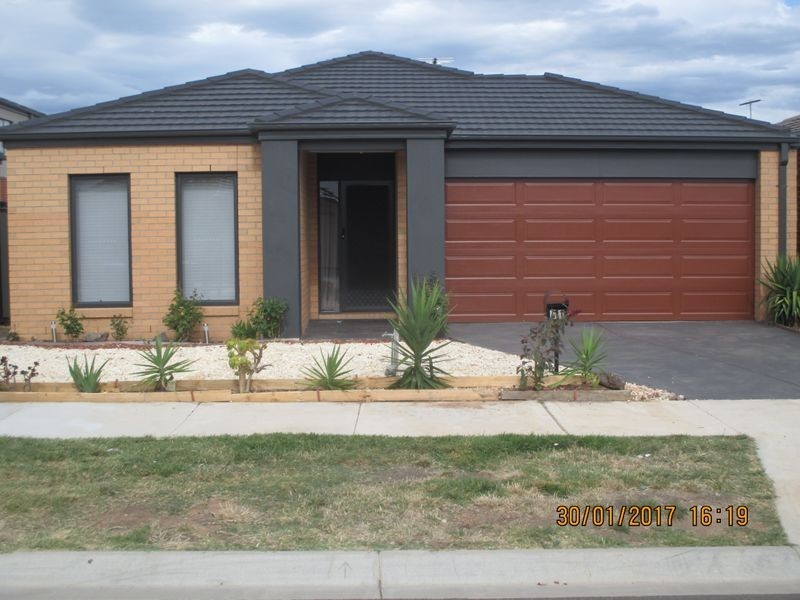 41 Terrene Terrace, Point Cook VIC 3030