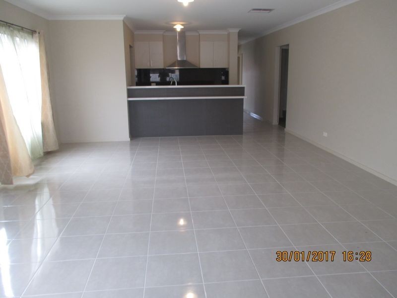 41 Terrene Terrace, Point Cook VIC 3030