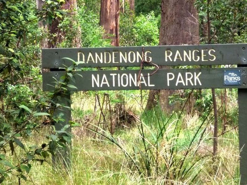 6/4 Franklyn Street, Oakleigh East VIC 3166