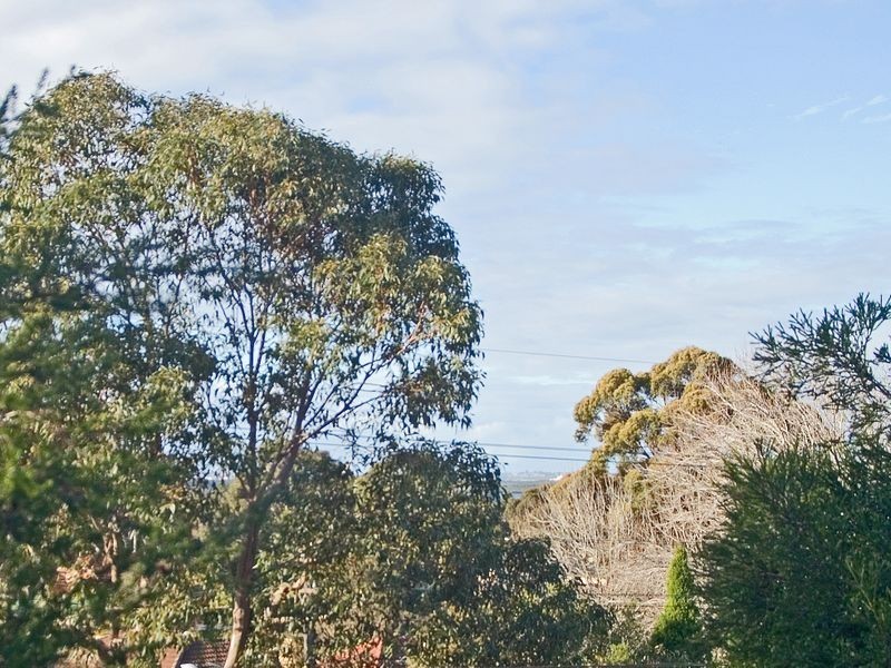 17/241-245 Kingsway, Caringbah NSW 2229