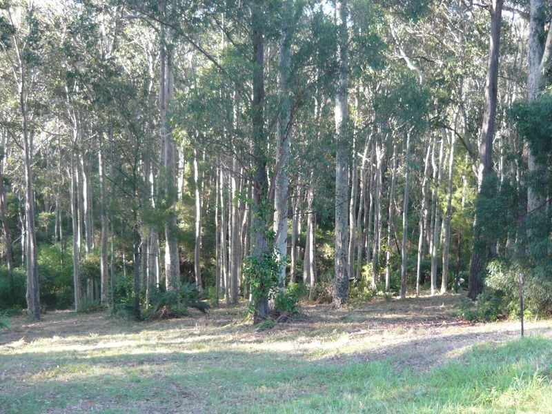 Lot 48 Woodlands Drive, Narooma NSW 2546