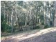 Lot 48 Woodlands Drive, Narooma NSW 2546