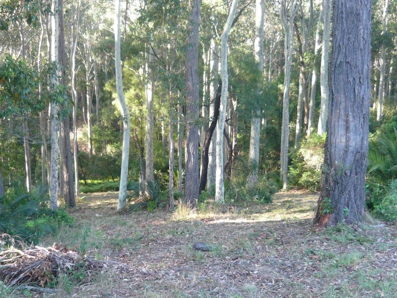 Lot 48 Woodlands Drive, Narooma NSW 2546