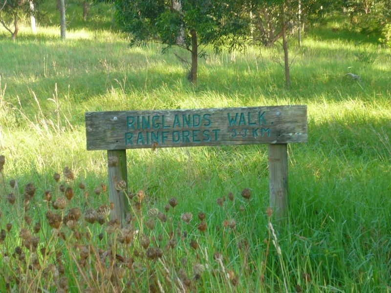 Lot 48 Woodlands Drive, Narooma NSW 2546
