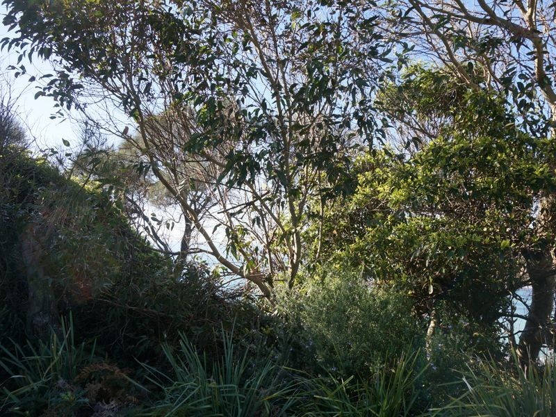 54 Ocean Parade, Dalmeny NSW 2546