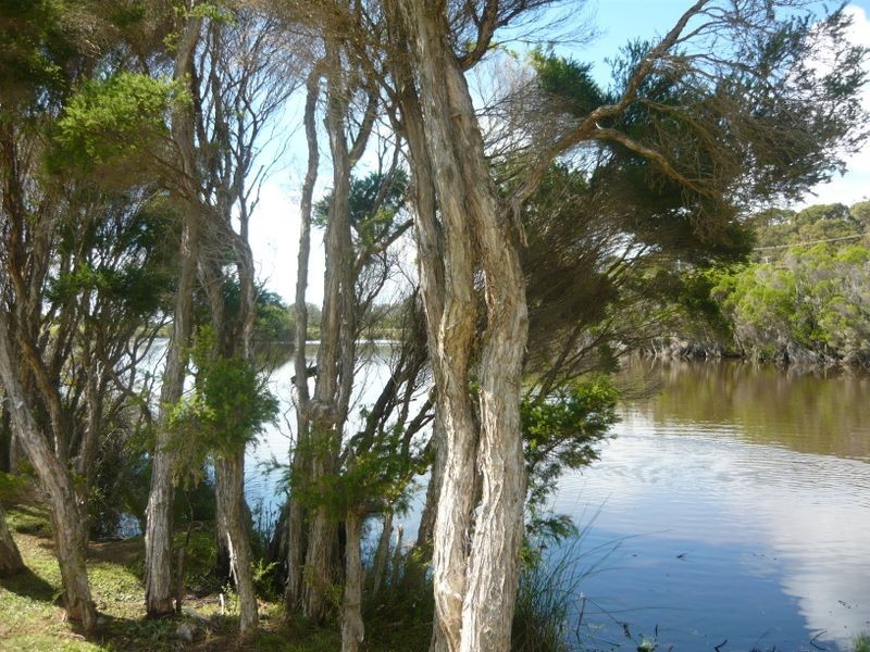 95 Cresswick Parade, Dalmeny NSW 2546