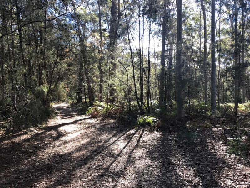 185 Brou Lake Road, Bodalla NSW 2545