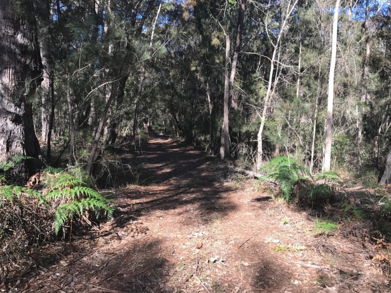 185 Brou Lake Road, Bodalla NSW 2545