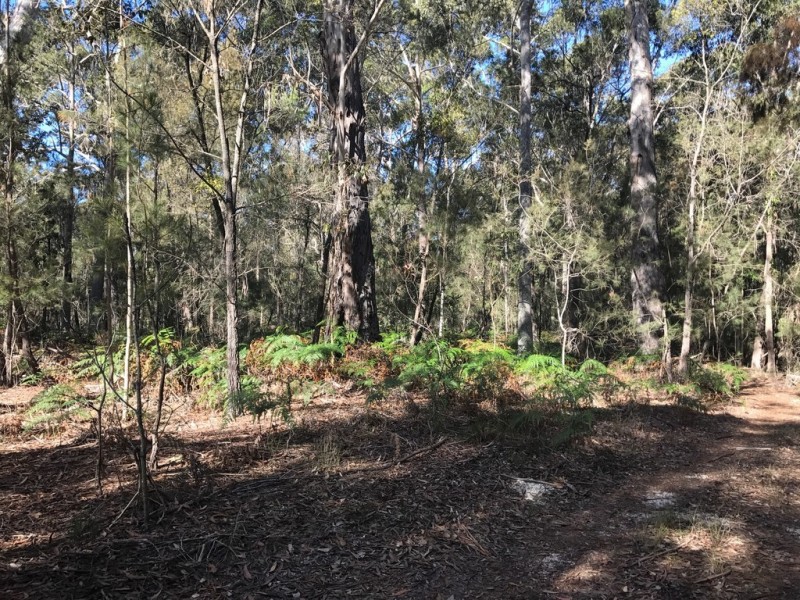 185 Brou Lake Road, Bodalla NSW 2545