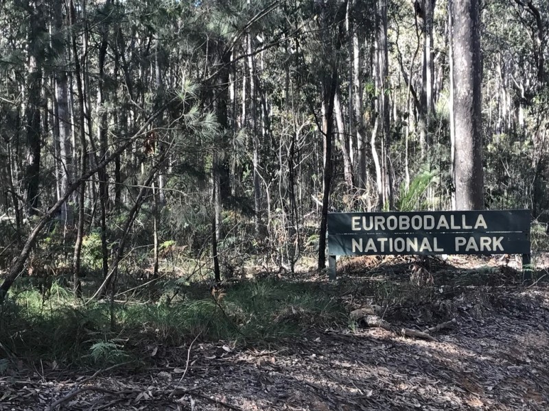 185 Brou Lake Road, Bodalla NSW 2545