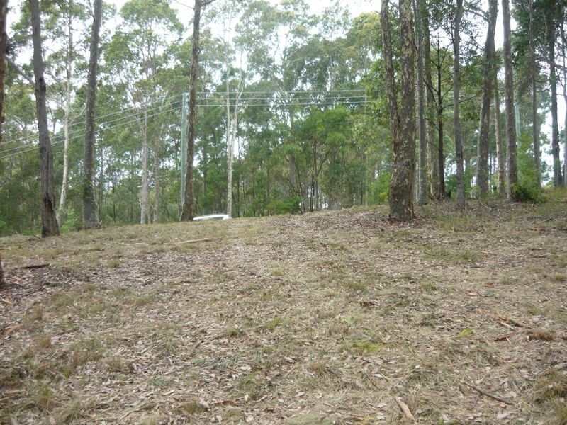 Lot 25 Wild Duck Lane, Narooma NSW 2546
